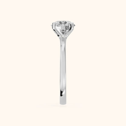 Matilda Cathedral Solitaire Round Diamond Engagement Ring in Platinum - SideView.webp