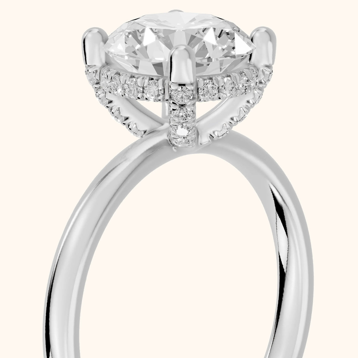 Dina Hidden Halo Round Diamond Engagement Ring in White Gold - slant-view.webp