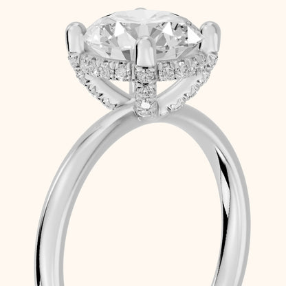 Dina Hidden Halo Round Diamond Engagement Ring in White Gold - slant-view.webp