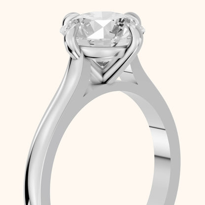 Truckee East-West Cathedral Round Diamond Engagement Ring in Silver - slant-view.webp
