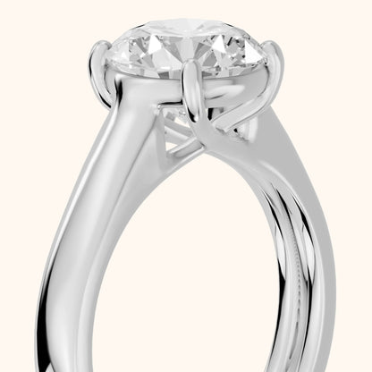 Heather Solitaire Cathedral Round Diamond Engagement Ring in Platinum - slant-view.webp