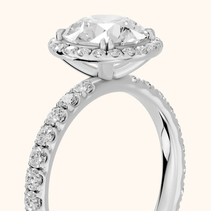 Chloe Halo Pavé Round Diamond Ring in White Gold - slant-view.webp
