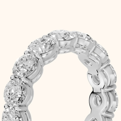 Larissa Shared Prong Round Diamond Eternity Band in Silver - slant-view