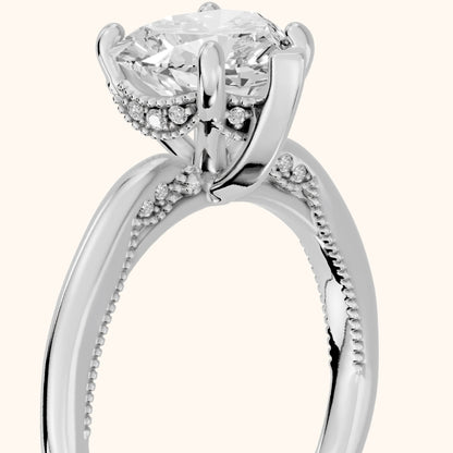 Lowell Hidden Halo Milgrain Heart Diamond Engagement Ring in Silver - slant-view.webp