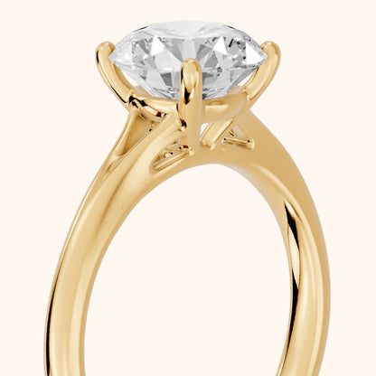 Melanie Solitaire Split Shank Round Diamond Engagement Ring in Yellow Gold - slant-view.webp